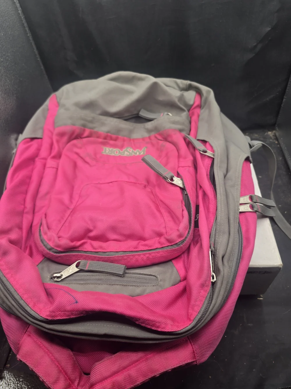 JanSport Women's‎ Pink and Gray Daypack Backpack